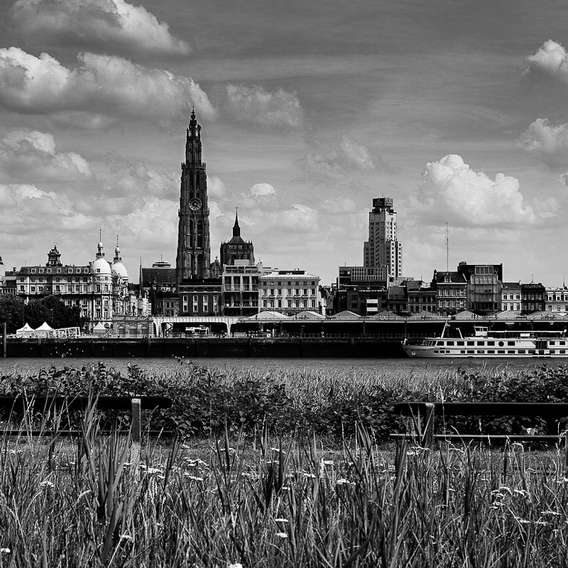 Universiteit Antwerpen (Didascalia)
